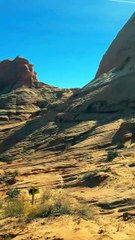 Biker Falls off Clif While Trying to Ride up Mountain