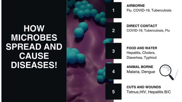 How do Microbes Spread