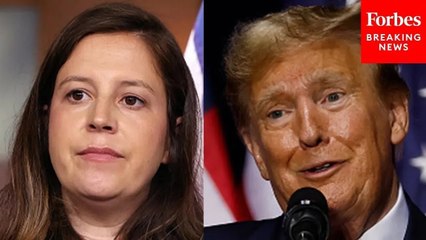 'We Have A Lot Of Good People That Want It': Trump Discusses Stefanik Replacements For UN Ambassador