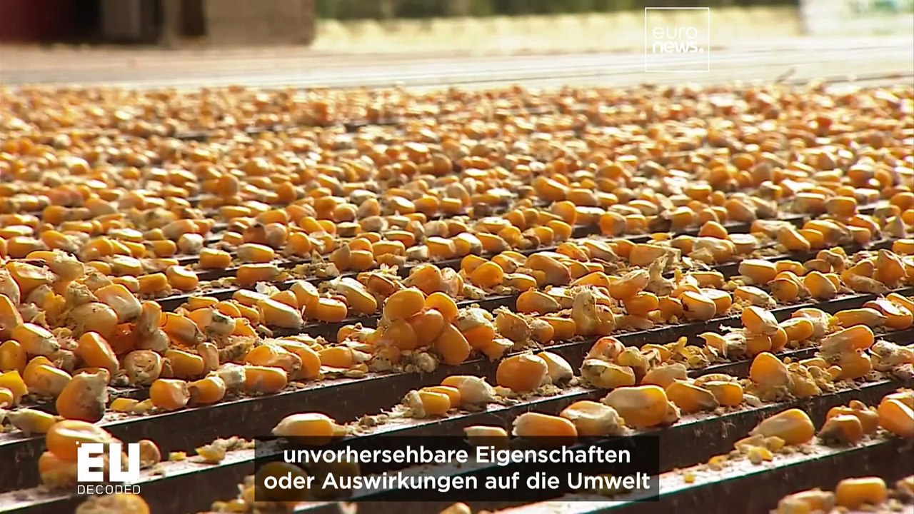 Wird die europäische Landwirtschaft auf neue genomische Techniken umstellen?