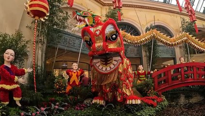 [Cypress] Domain blocked Onsite test video