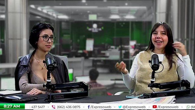 Refugios y albergues para mascotas