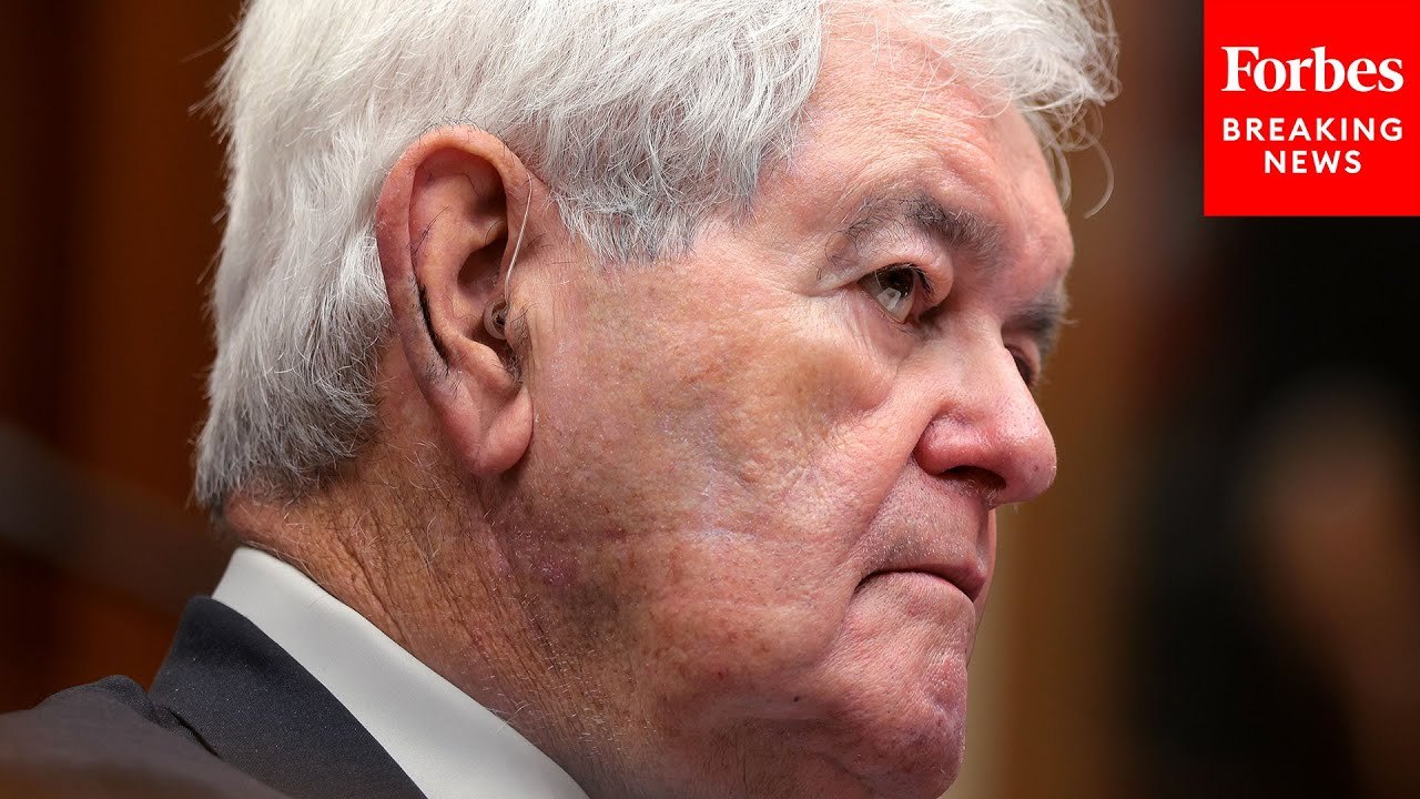 Newt Gingrich Warns Of 'Constitutional Crisis' Due To Judges Blocking Trump Actions
