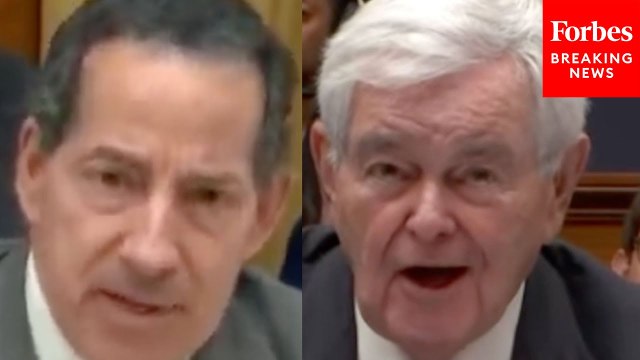 'That's A Yes Or No': Jamie Raskin Grills Newt Gingrich Over GOP Calling To Impeach Judge