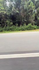 Caminhoneiro paranaense viraliza nas redes sociais com transformação em veículo