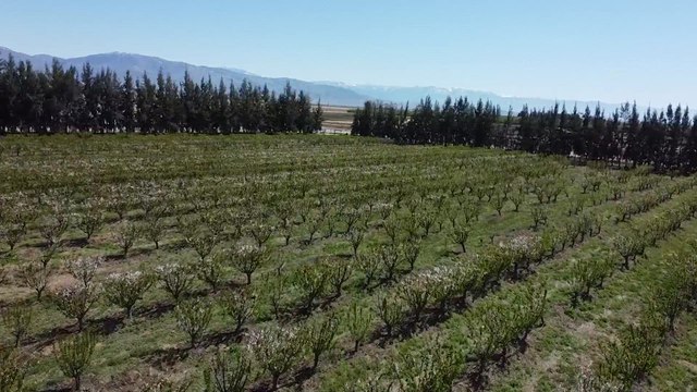 Food stamps could be targeted by Republicans, hurting poor Americans