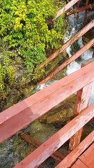 Nature Niagara Falls