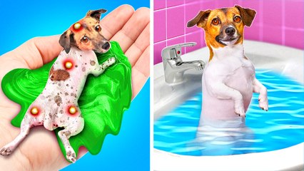 🏆🐶 Homeless Girl Finds Her Champion – DIY Paw Washer for Her Pup! 💖✨