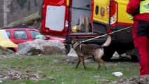 Secours: tests grandeur nature pour les chiens de la sécurité civile