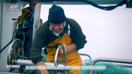 Seconde vie - Des pavés à base de coquilles Saint-Jacques pour lutter contre la canicule !