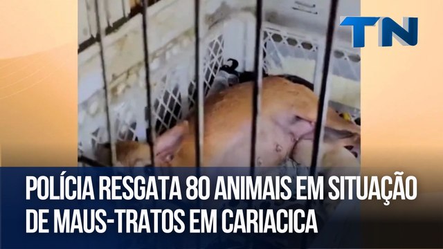 Polícia resgata 80 animais em situação de maus-tratos em Cariacica