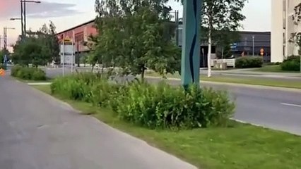 「Decode Global詐欺」ニアドアドベン