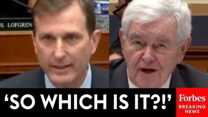 Dan Goldman Does Not Let Up On Newt Gingrich Over Judges' Nationwide Injunctions