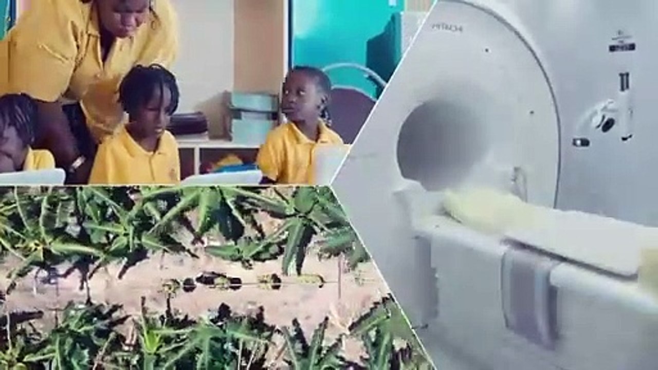 Senegal 2050