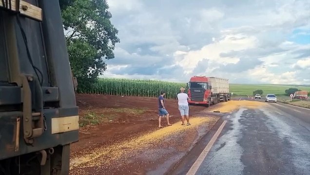 Carga de milho fica espalhada na rodovia após colisão entre carretas na BR-163, em Cascavel