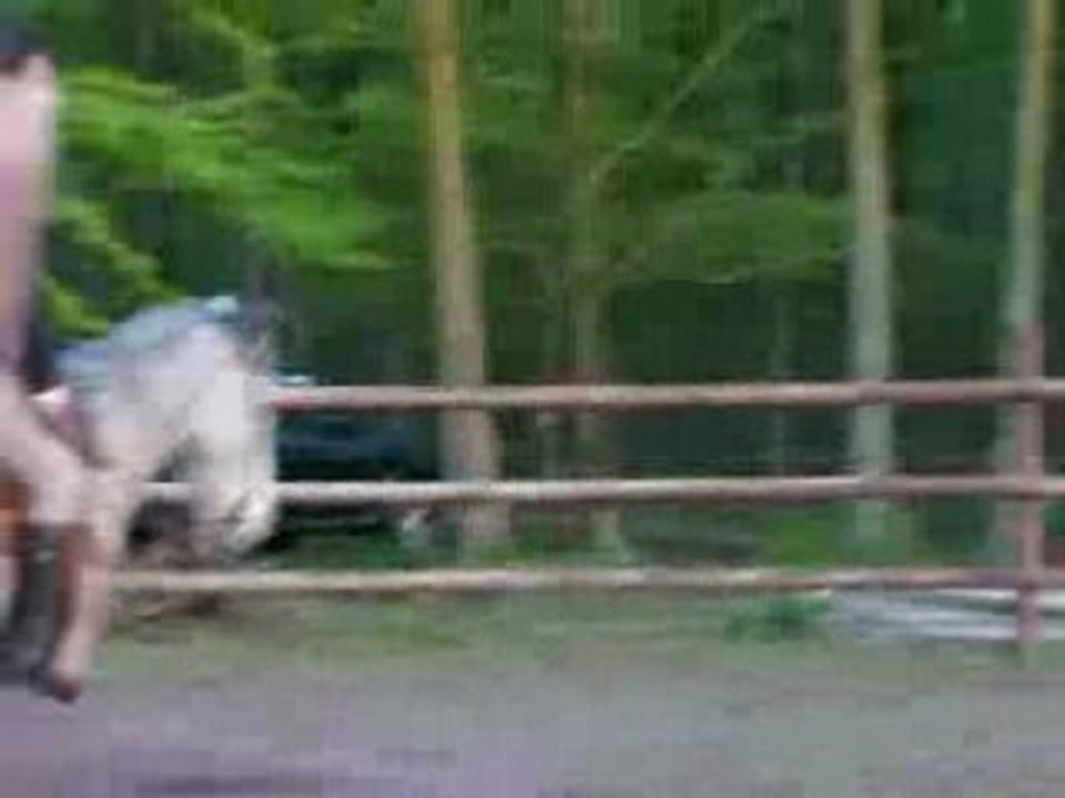 Cathy galop