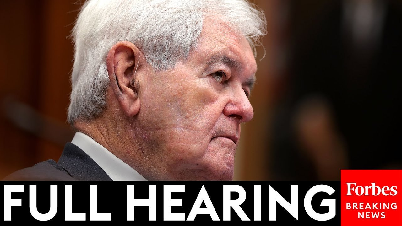 Newt Gingrich Testifies Before House Judiciary Committee On Injunctions Blocking Trump | FULL HEARING