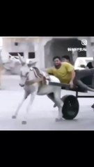 VID_48590121_002747_564