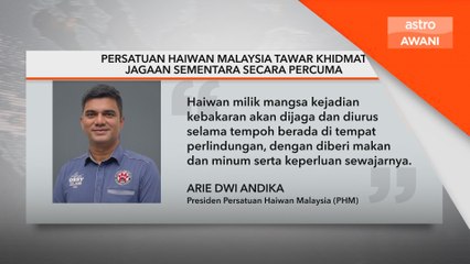 Persatuan Haiwan Malaysia tawar khidmat jagaan sementara secara percuma