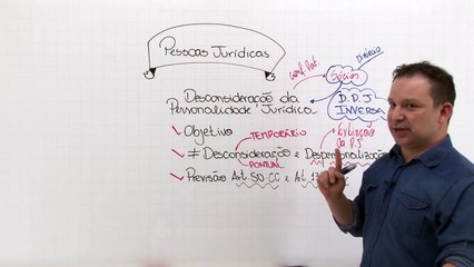 21 Pessoas jurídicas Desconsideração da personalidade jurídica