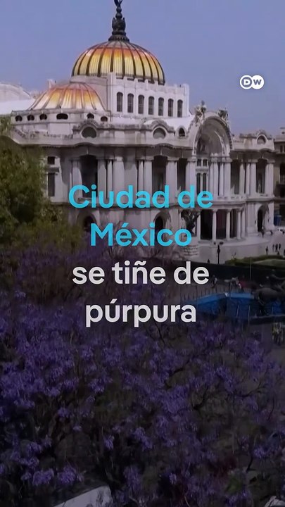 Ciudad de México se tiñe de púrpura   