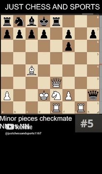Knight and Bishop checkmate. NN vs NN
