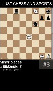 NN vs NN. Bishop and Knight checkmate 3