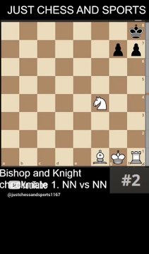 NN vs NN. Bishop and Knight checkmate 1