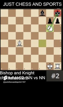 NN vs NN. Bishop and Knight checkmate 2