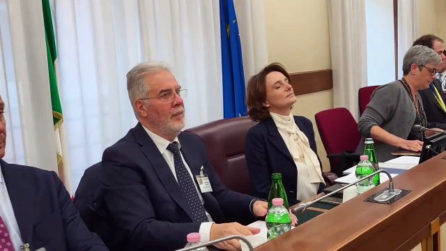 Roma - ISTAT. CHELLI: IN 2024 MIGRANTI IN CALO (-5MILA), AUMENTANO EMIGRAZIONI (+33MILA) (01.04.25)