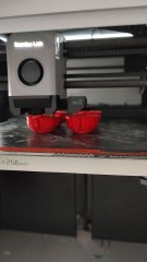 3d printed roses in process comment if interested