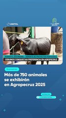 Más de 750 animales se exhibirán en Agropecruz 2025