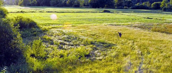 I'm Not There | movie | 2007 | Official Trailer