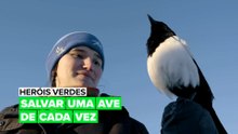 Heróis Verdes: Salvar uma ave de cada vez