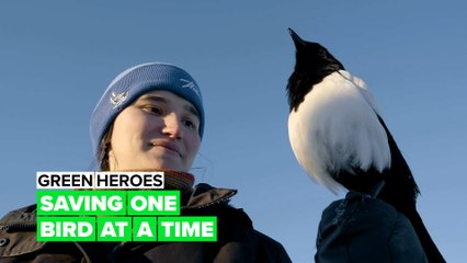 Green heroes: "Saving a bird is like an opportunity to fly"