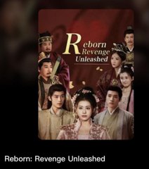 REBORN REVENGE UNLEASHED. Full Movies English Sub