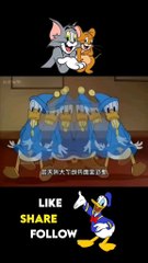 please like and follow