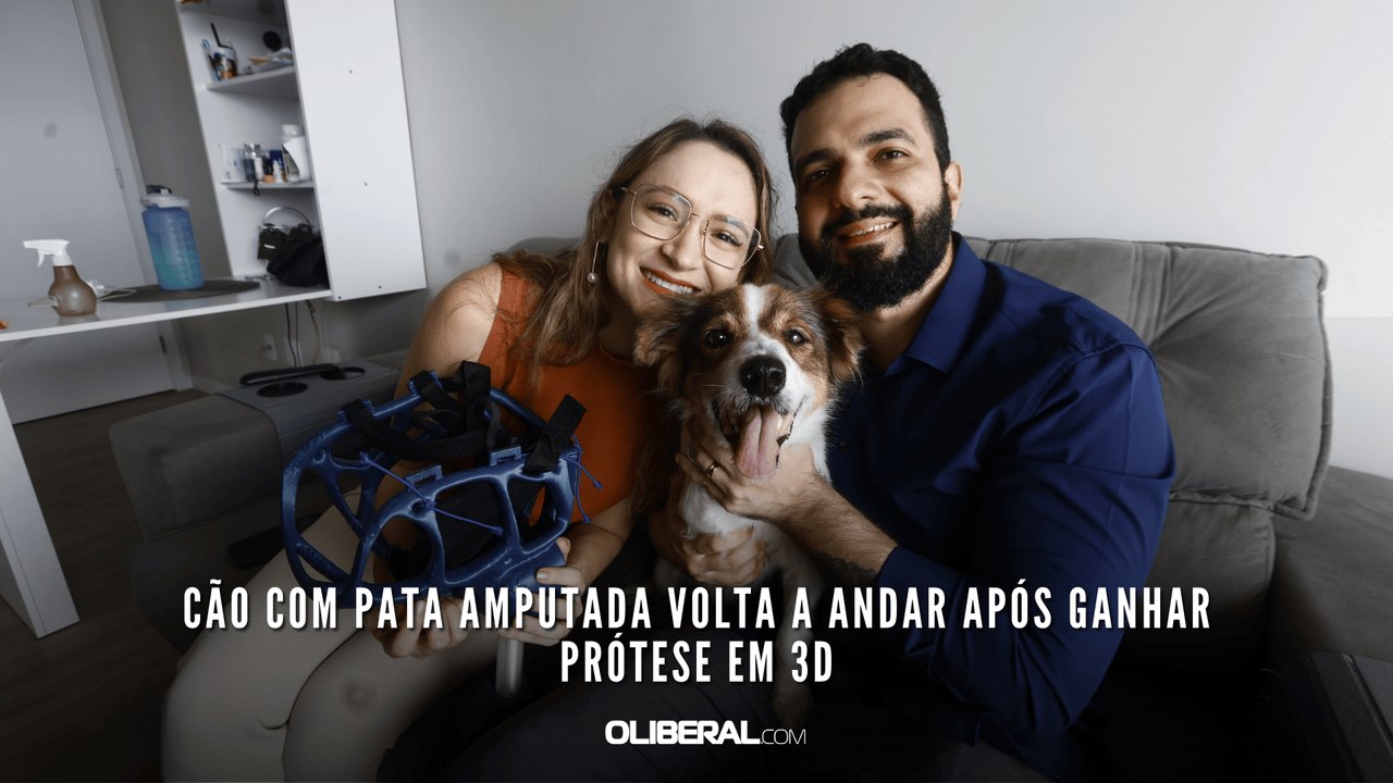 Cão com pata amputada volta a andar após ganhar prótese em 3D
