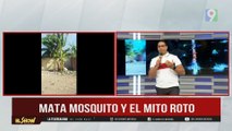 ¿Era un mito la situación de Mata mosquito?  | El Show del Mediodía
