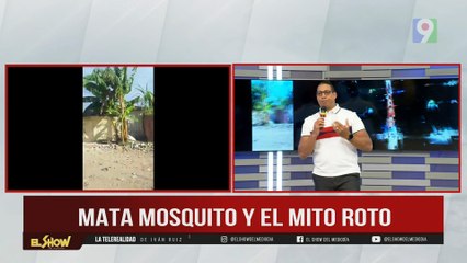 ¿Era un mito la situación de Mata mosquito?  | El Show del Mediodía