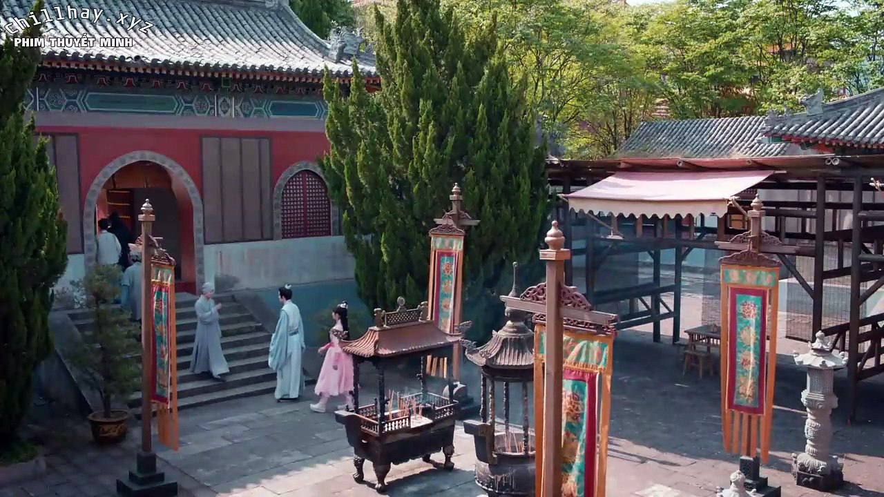 Kiệu Hoa Hỉ Sự 12 thuyết minh