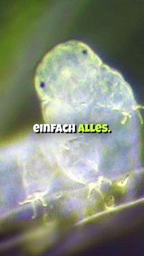 Die erstaunliche Wahrheit über das härteste Tier der Welt