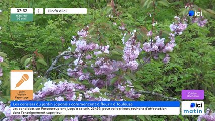 02/04/2025 - ici matin par ici Occitanie en vidéo