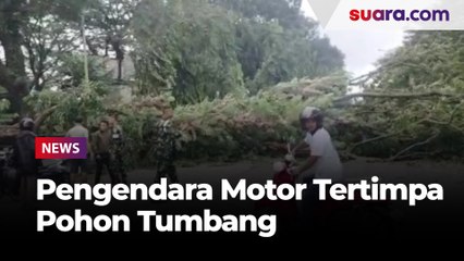 2 Pengendara Motor Tertimpa Pohon Tumbang di Makassar