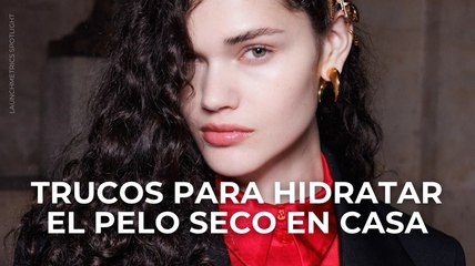¡Revela los Mejores Trucos Caseros para Hidratar el Pelo Seco ✨