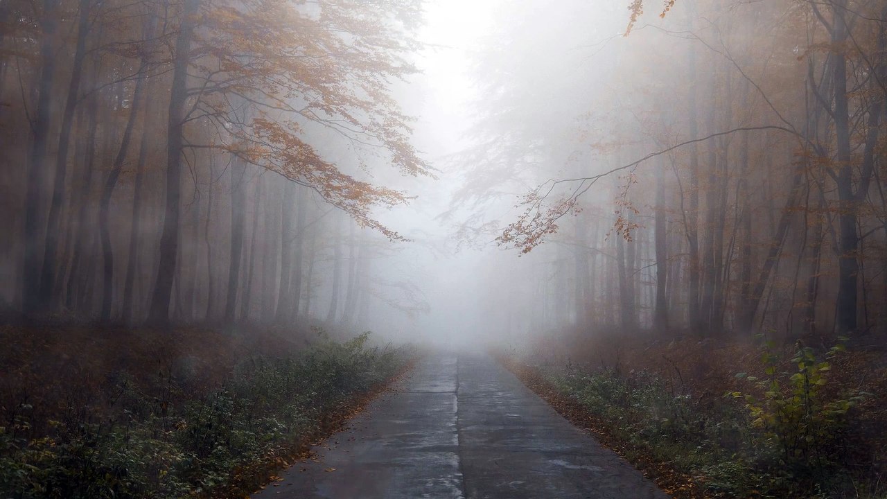 Fading Path (instrumental music)