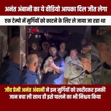 सनातनी संस्कृति की सीख सनातनी अनंत अंबानी ने जीव दया का अनूठा उदाहरण पेश किया! #AnantAmbani #Vantara #Jeevdaya #NitaAmbani #MukeshAmbani #AnantAmbani #Kindness #Humanity #SocialService #Compassion #Inspiring #RoostersAndHens