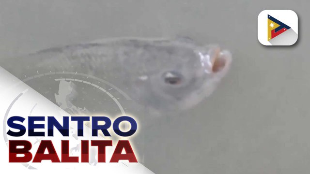 Aquaculture program sa SOCCSKSARGEN, paiigtingin pa ng NIA; programa, inaasahang makatutulong para mapalaki ang kita ng mga magsasaka