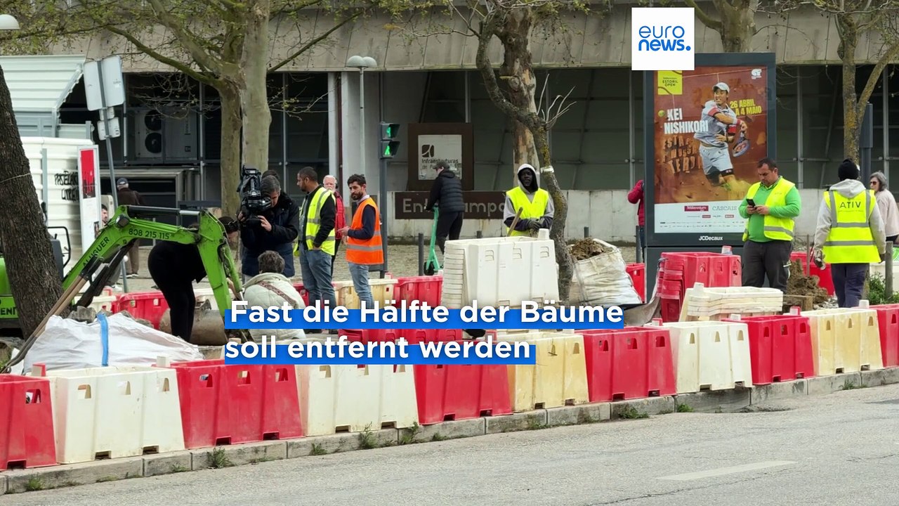 Lissabon: 47 Bäume sollen Parkplätzen weichen - Bürger protestieren