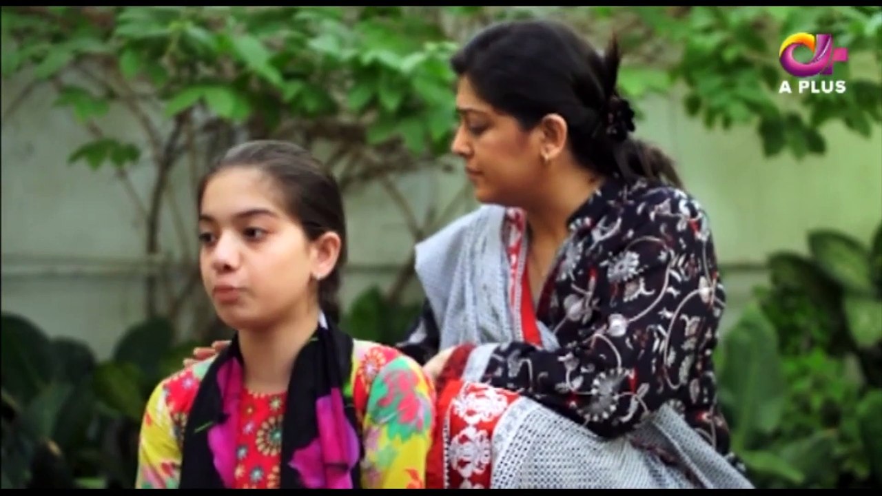 Ranj-e-Ashnayi - Episode 20 - A Plus